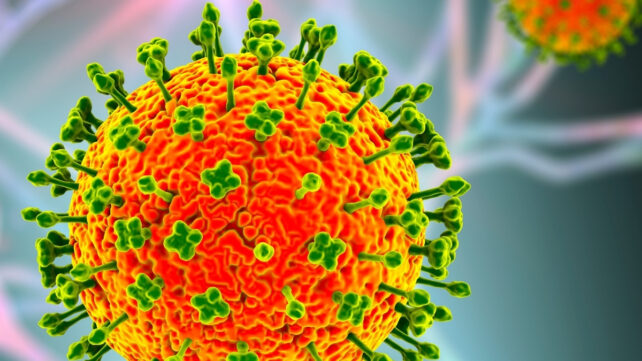 A bright orange virus particle