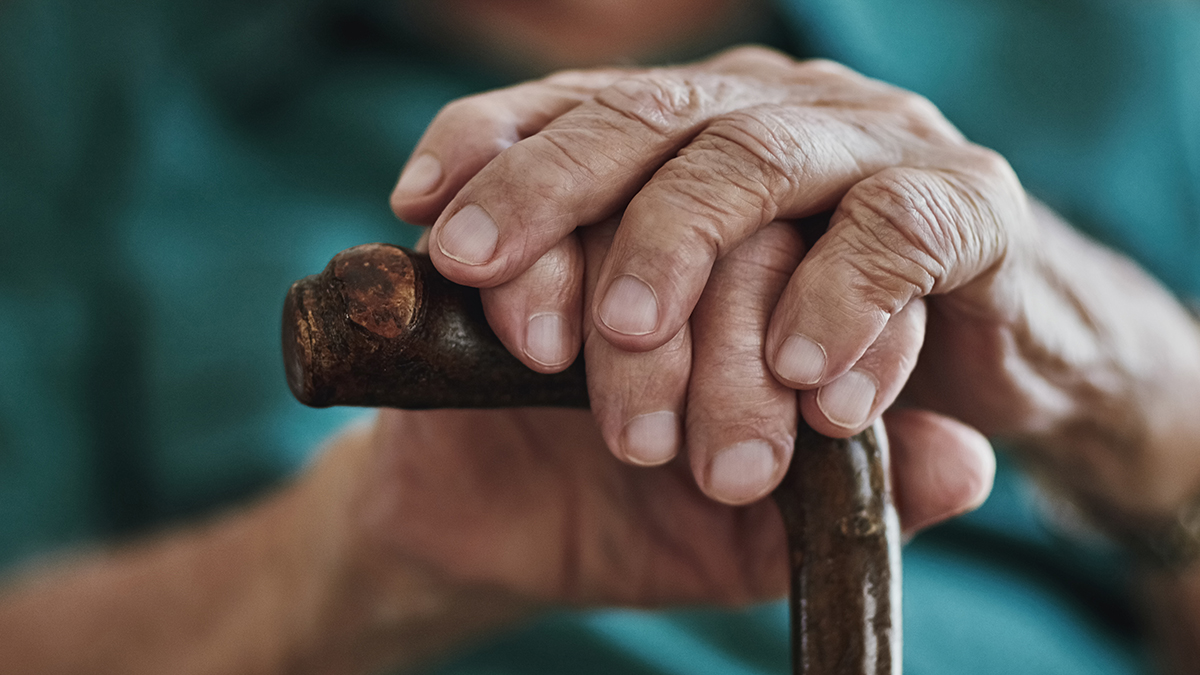 We Were Wrong About How Much Your Genes Shape Your Lifespan