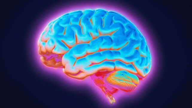 Parkinson's May Emerge From a Deeper Brain Network Than We Thought