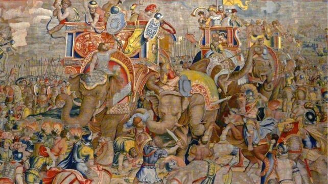 First Solid Evidence of Hannibal's Infamous War Elephants Discovered in Spain