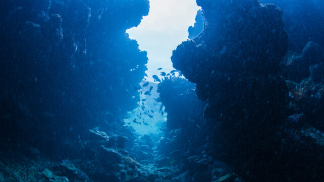Underwater channel in Miyakojima island