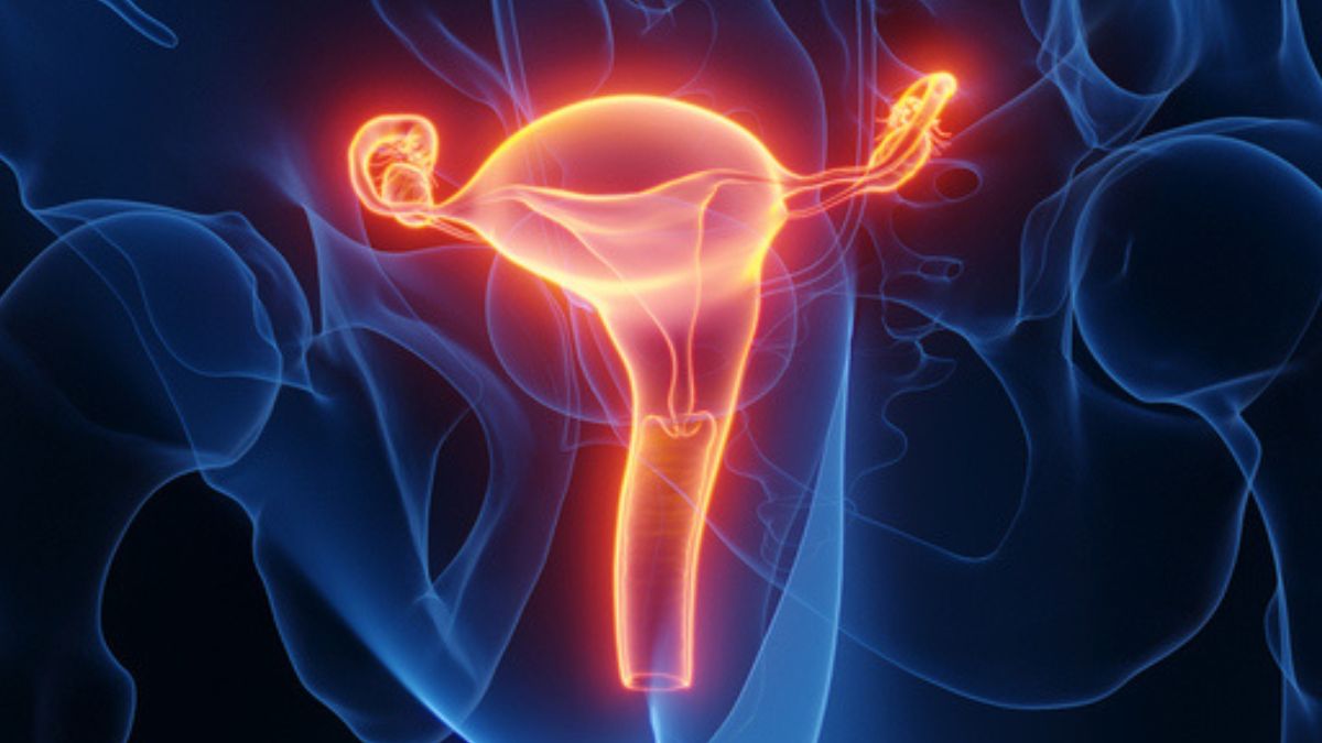 UK First: Woman Gives Birth After Womb Transplant From Deceased Donor