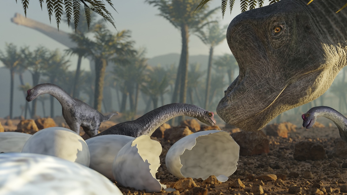 Baby Giants Were The Fast Food of The Jurassic, Study Reveals