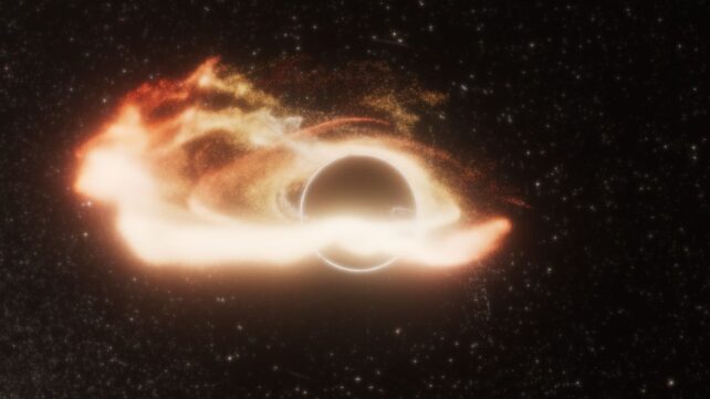 X-Ray Blaze Could Be First Glimpse of a Black Hole Shredding a White Dwarf
