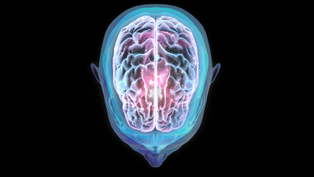 Let do vesmíru může posunout lidský mozek, zjistila studie