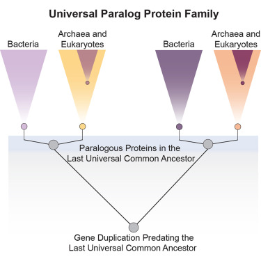 Some Genes May Predate CA