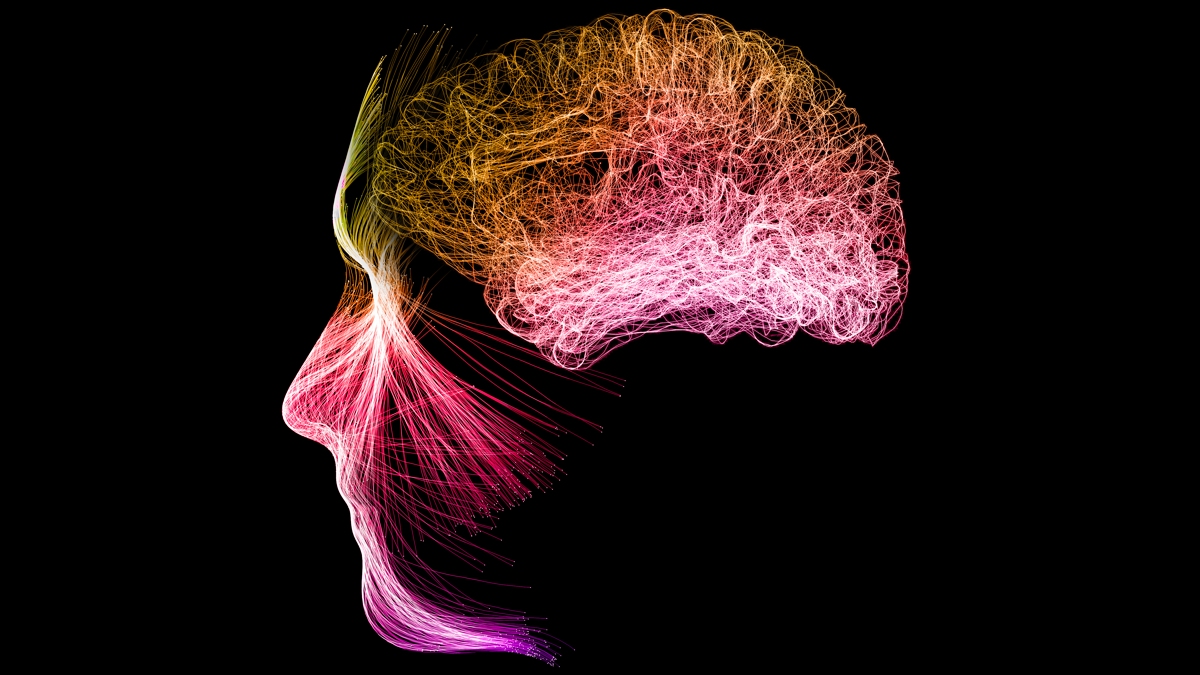 Meditation Reshapes Brain Dynamics Toward Criticality