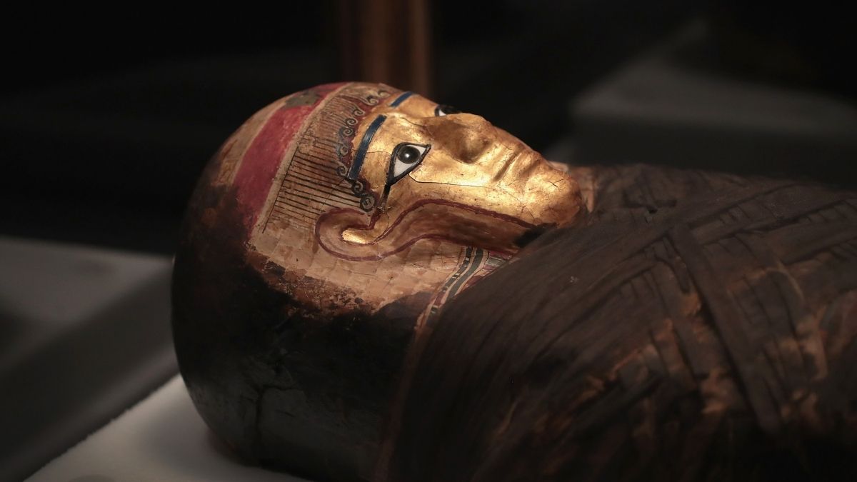 Ancient Egyptian mummies have a distinctive odor known only to those who've gotten close enough for a sniff.