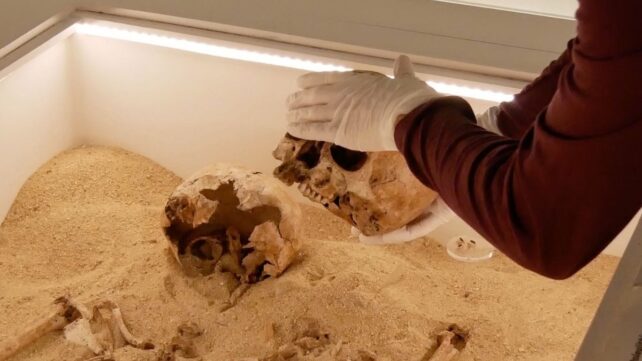 Rare Genetic Disease Discovered in Ancient Skeletal Embrace From The Ice Age