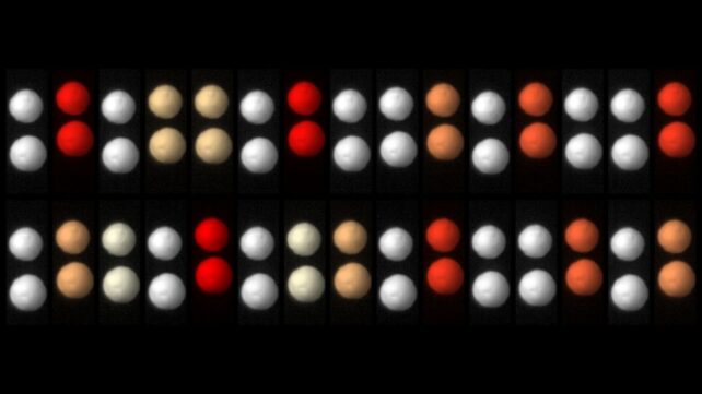 Time Crystal Made in a Lab Using Little More Than Styrofoam And Sound