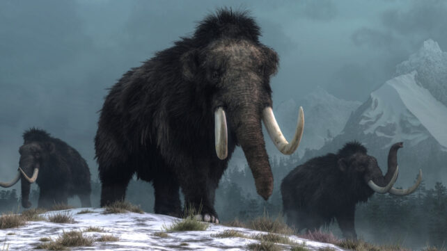 mammoths walking at night