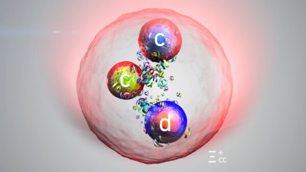 CERN Discovers New Particle After Upgrading Large Hadron Collider ...