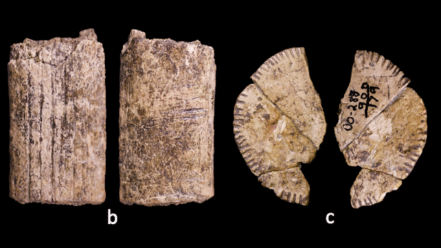 Scientists May Have Uncovered The World's Oldest Dice