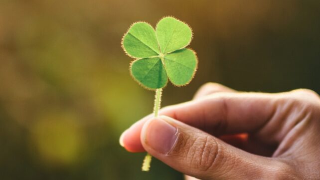 Close up of a hand holding a four-leaf clover against a high contrast background