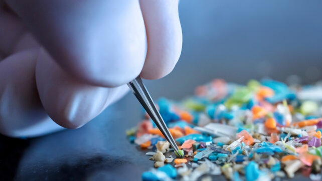 close up of a gloved hand using tweezers to sort through microplastics