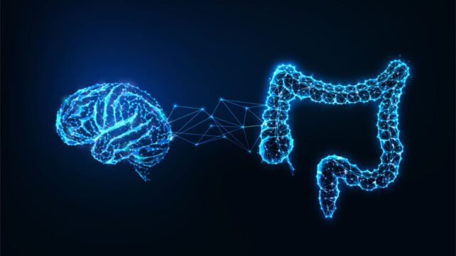 Your Gut-Brain Link May Offer a New Way to Fight Cognitive Decline