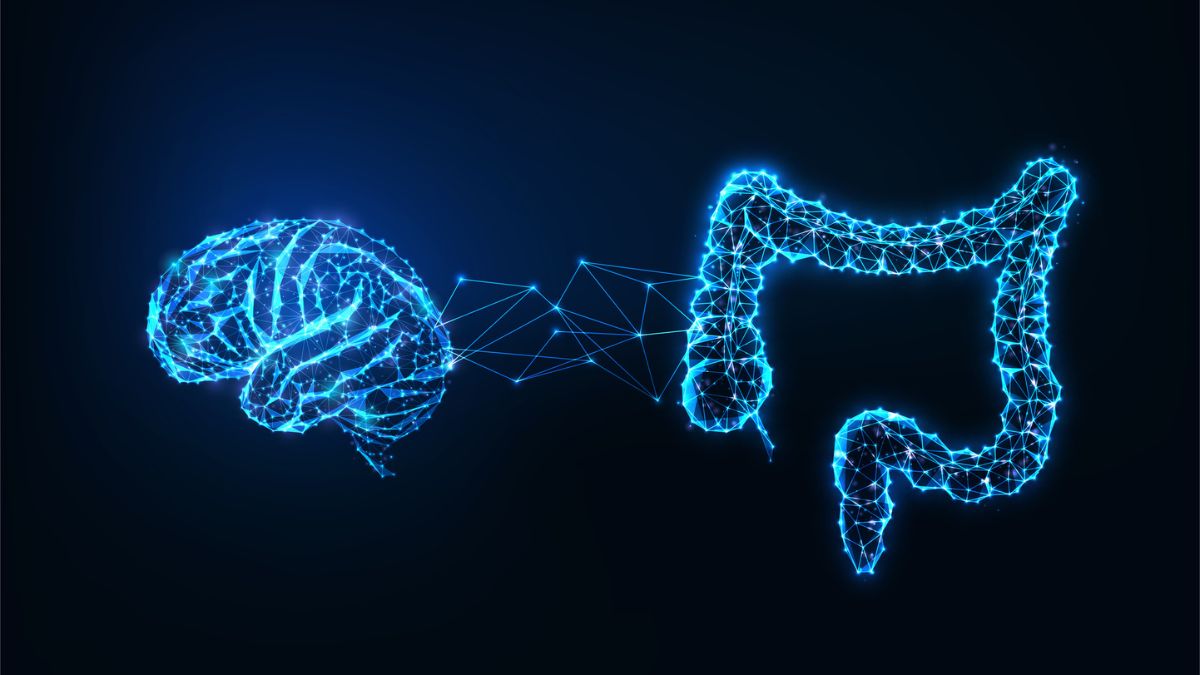 Vazba mezi střevem a mozkem jako možnost boje proti kognitivnímu úpadku
