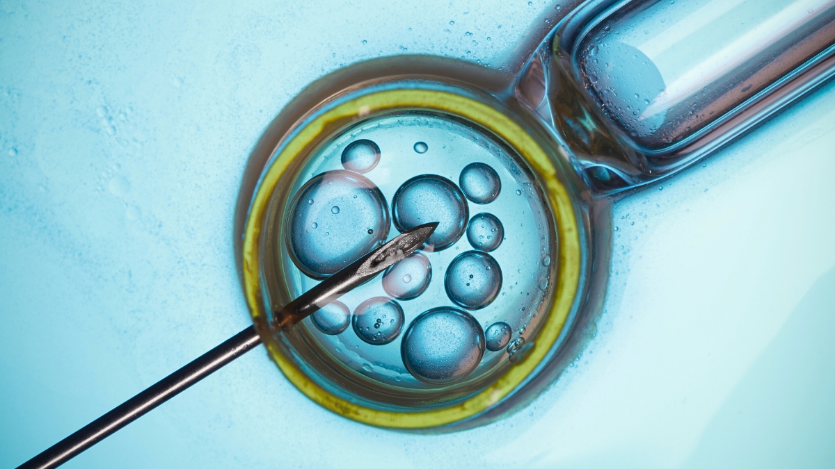 Major Study Finds IVF Not Linked to Cancer Risk, But There's a Catch