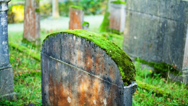 A Piece of Moss Helped Investigators Prosecute a Grave-Robbing Ring