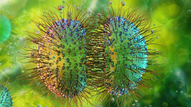 'Unprecedented' Meningitis Outbreak in UK Spreads to 27 Cases. Here's What We Know.