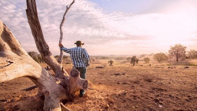 Droughts Are The Ideal Breeding Ground For Antibiotic-Resistant Bacteria, Study Warns