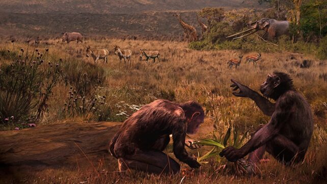 Mysterious Ancient Ape May Have Evolved a Key Human Trait