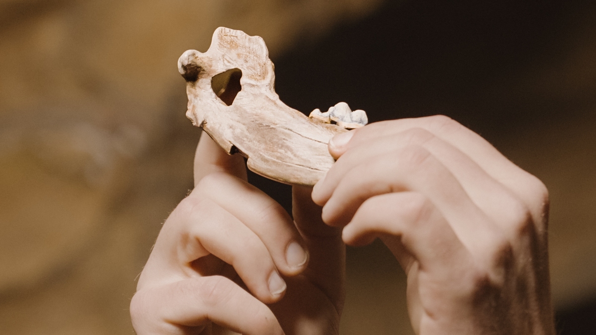 Oldest Dog DNA Ever Found Reveals How Ancient Our Friendship Really Is