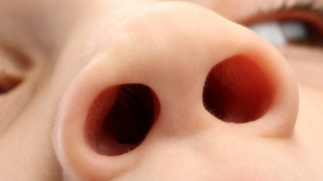 child's nostrils