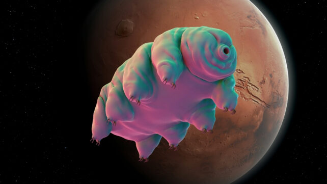 One Simple Trick Could Help Tardigrades Survive in Martian Dirt