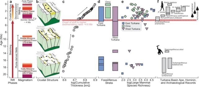 Africa Is Splitting Apart Faster Than We Thought, Birthing a New Ocean