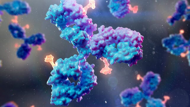 Antibody drug conjugate