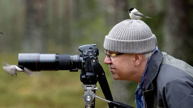 Urban Birds Appear to Fear Women More Than Men, But Why?