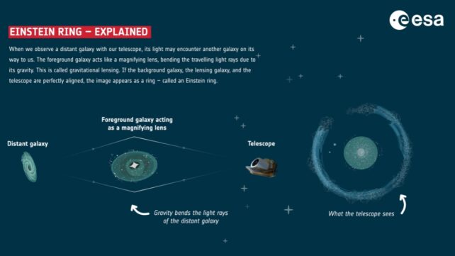 Against a dark blue background, this infographic contains a paragraph of text in the top left corner, the logo of ESA in the top right corner and a succession of graphics in the bottom half of the image. The text paragraph explains the principle behind Einstein rings, and it can be read in the image caption. The graphics below it illustrate this astrophysical phenomenon, and by looking at them from left to right we can understand the process of how Einstein rings are formed.The left-most element in the bottom half of the image is a graphic representation of a galaxy, labelled 'distant galaxy'. To the right of it, another galaxy is shown, labelled 'Foreground galaxy acting as a magnifying lens'. The third illustration, to the right of the previous one, shows ESA's Euclid space telescope and is labelled 'Telescope'. The 'distant galaxy' and the 'Telescope' are connected by two lines that form an elongated diamond-shape around the 'Foreground galaxy'. This line is labelled 'Gravity bends the light rays of the distant galaxy'. The fourth and last illustration in the line shows a ring of light around a central disk and is labelled 'What the telescope sees'.