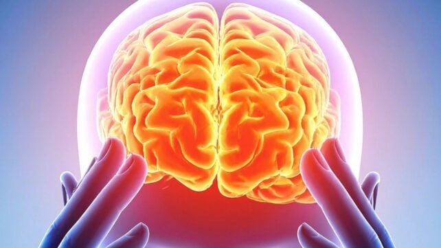 Computer illustration of a glowing human brain inside a head, with fingertips pressing on the edges of it