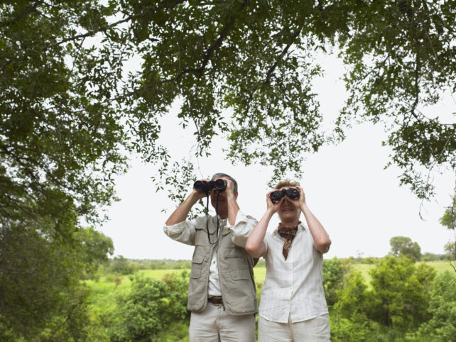 Bird Watchers