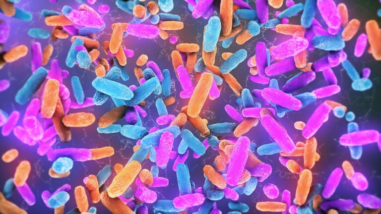 Gut Bacteria Could Be a Hidden Trigger For Neurodegenerative Diseases ...