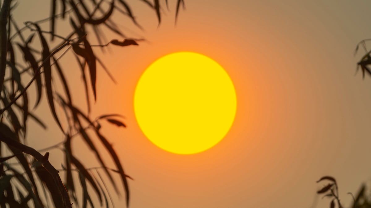 Almost 30% of Us Face 5x More Heat-Drought Extremes by End of Century