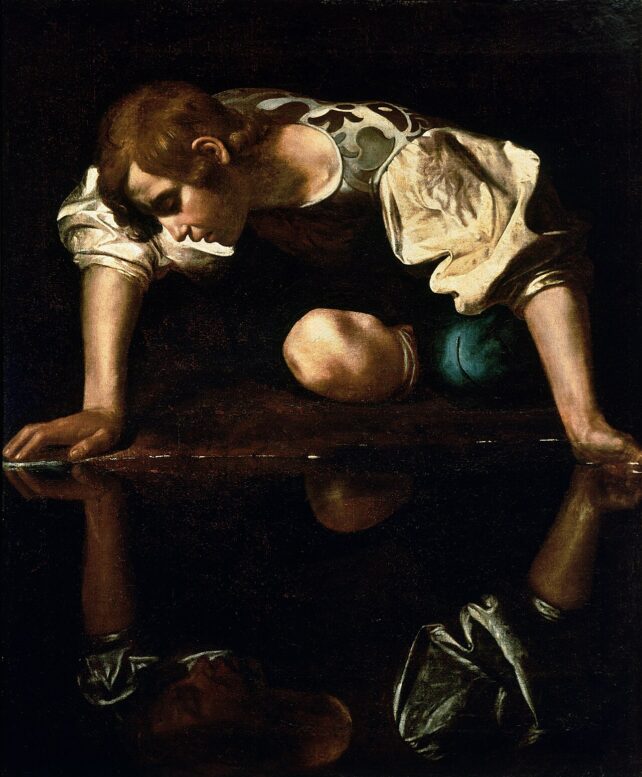 Narcissus 