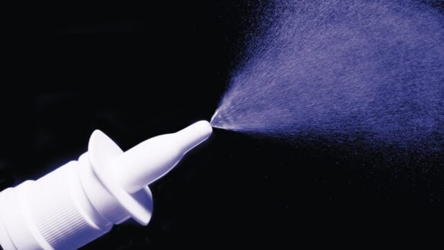 Scientists Restore Memory In Aging Mice Using a Simple Nasal Spray