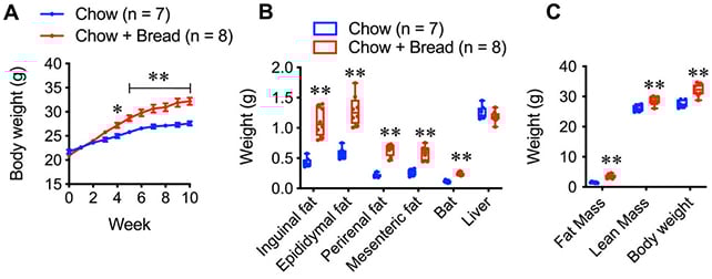 Графік ваги