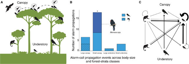 A graphic depicting the study's findings 