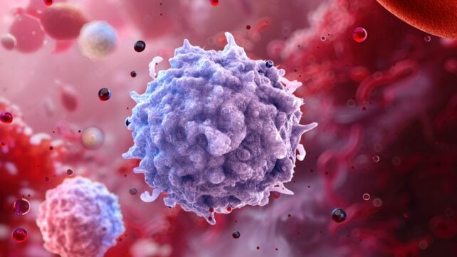lymphocyte illustration