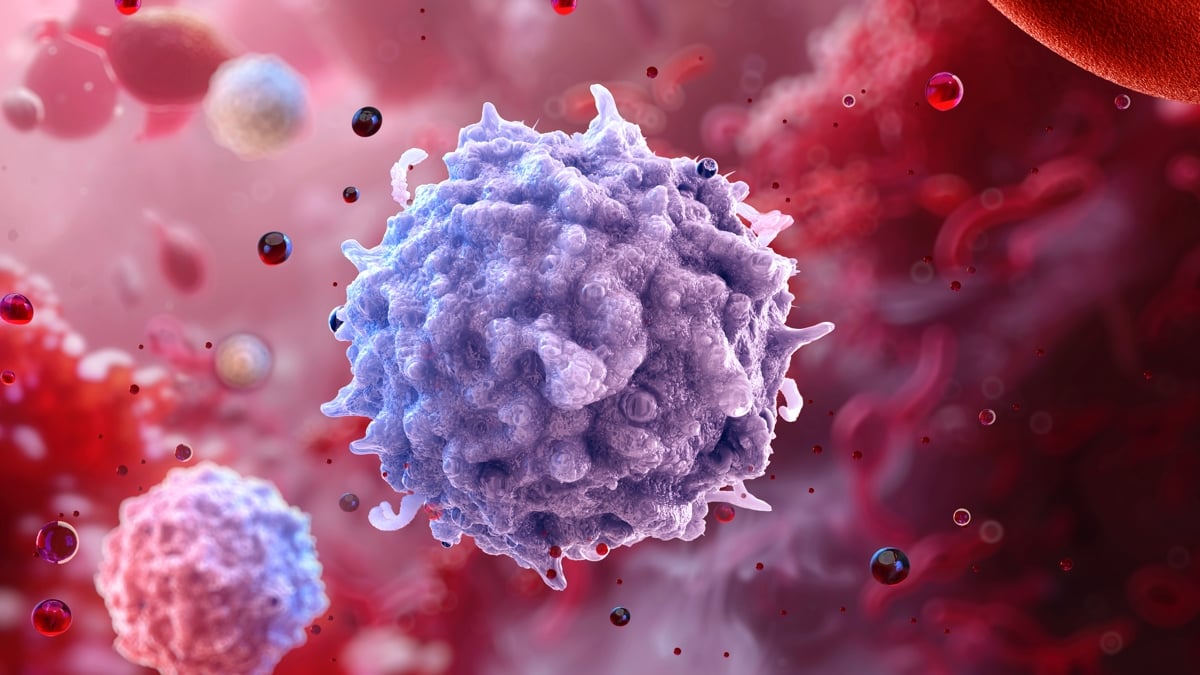 Immune Cells 'Remember' Obesity Long After Weight Loss, Study Finds