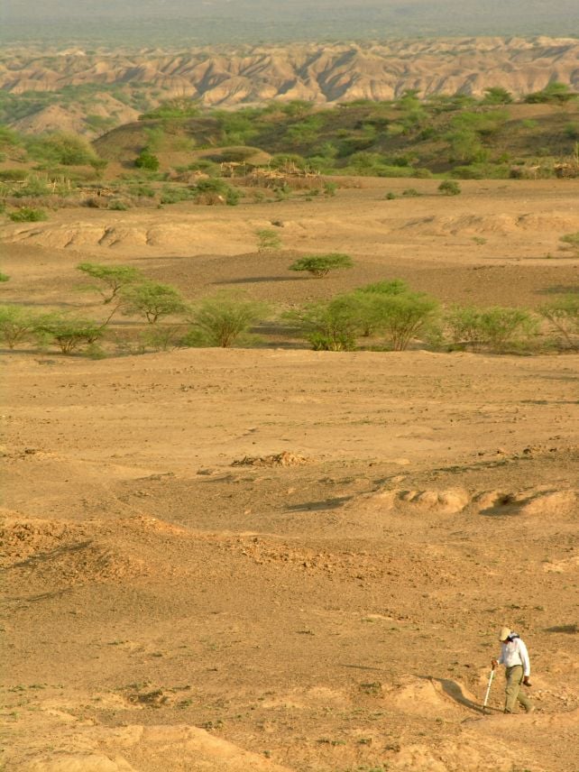 Відкрите місце розкопок Халібе в регіоні Афар в Ефіопії.