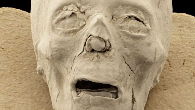 Medical Scans Reveal Hidden Secrets Inside Ancient Egyptian Mummies