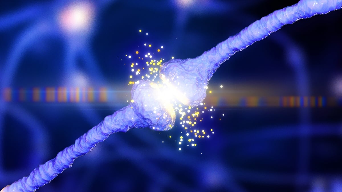 The origins of Alzheimer's remain contentious, but a new study suggests the disease may emerge as two key proteins compete inside brain cells.