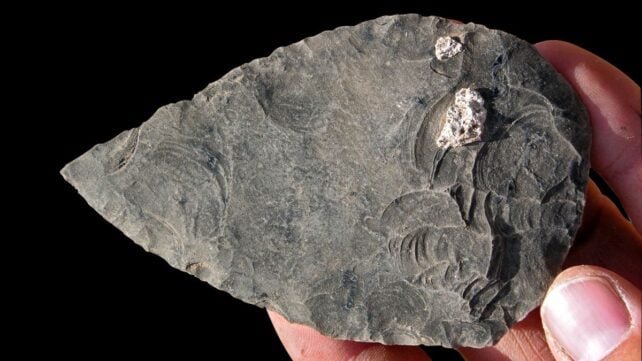 Ancient Landscape Reveals Bones of Humans Who Lived 100,000 Years Ago