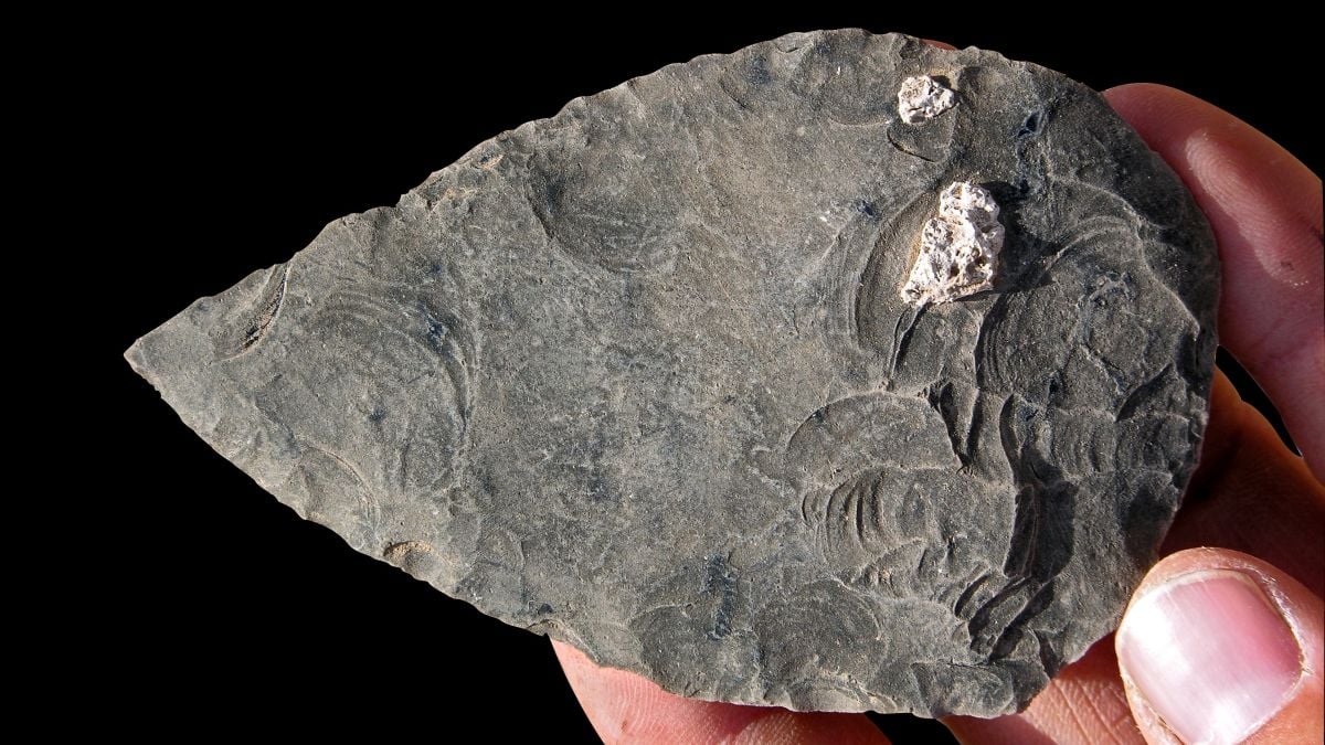 Objevy v Africe: Pozůstatky lidí staré 100 tisíc let