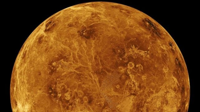 venus simulation