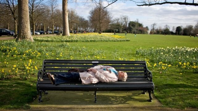 person napping on bench